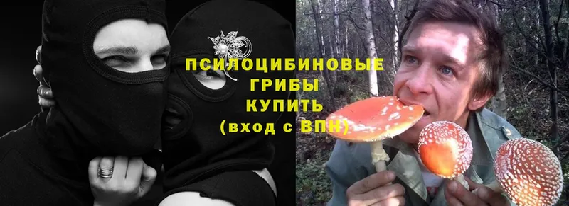 omg ссылка  Новоаннинский  Псилоцибиновые грибы MAGIC MUSHROOMS  магазин продажи наркотиков 